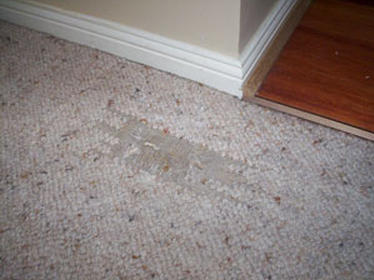 Damaged carpet before repairs.