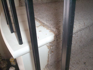 An image showing a worn carpet runner on stairs.